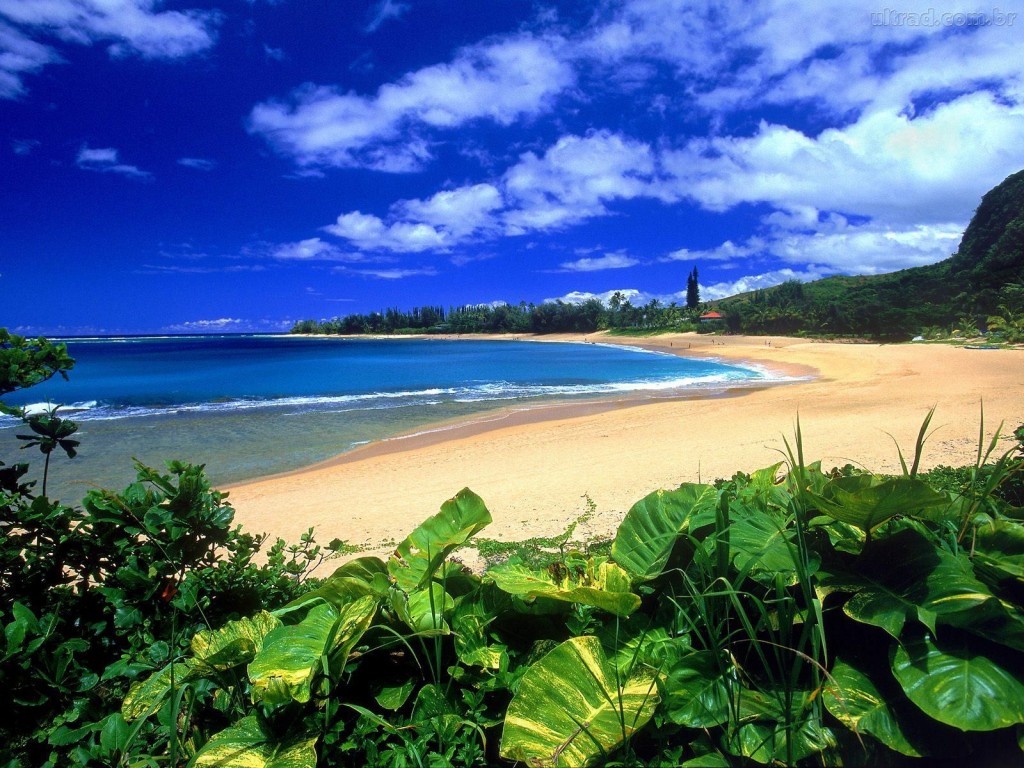 Okinawa é possível usufruir de suas belas praias -  Alfainter turismo