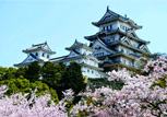 Japao Tradicional - 17 dias conhecendo as maravilhas do Japão - Alfainter Turismo